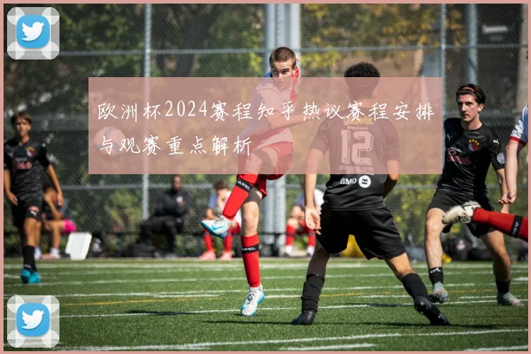 欧洲杯2024赛程知乎热议赛程安排与观赛重点解析