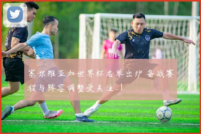 塞尔维亚加世界杯名单出炉 备战赛程与阵容调整受关注_1